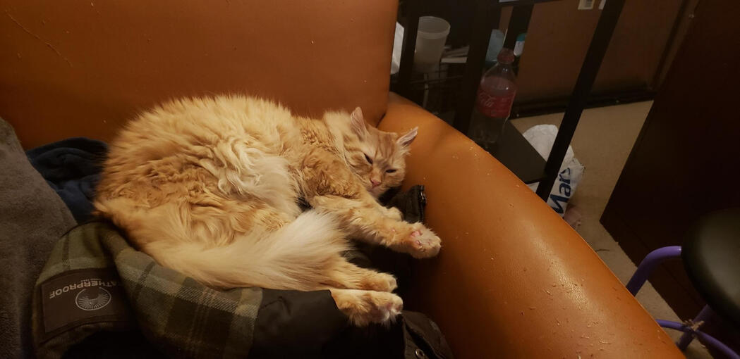 slep