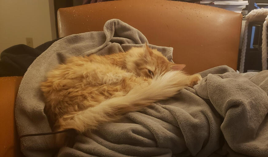 blanket pile