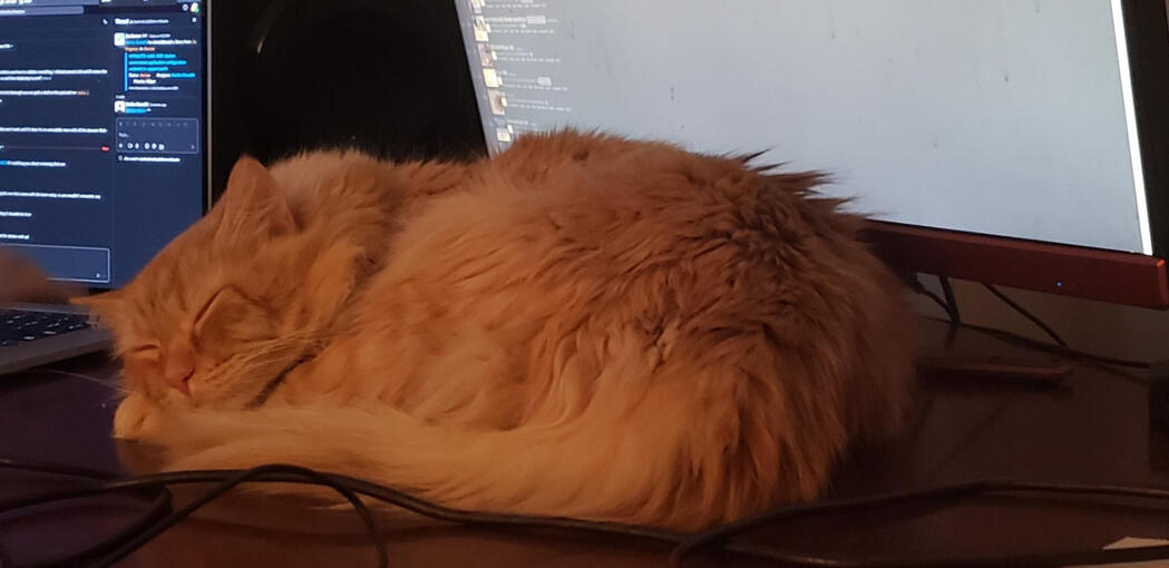 desk slep